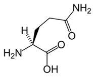 L-glutamin dalam Keto Diet